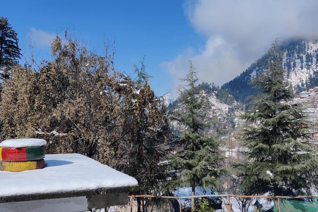 Отель Jibhi Highness River Side Экстерьер фото